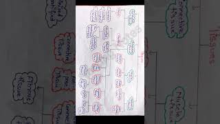 Tissues  Anatomy and Physiology  tissue anatomy physiology nursing education notes [upl. by Bove]