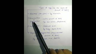 Types of Egg On the basis of yolk [upl. by Etsirk]