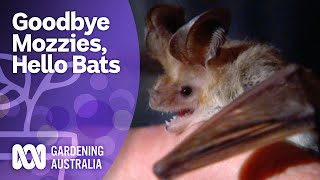 Attract bats to your garden with DIY bat boxes  Gardening for wildlife  Gardening Australia [upl. by Odele854]