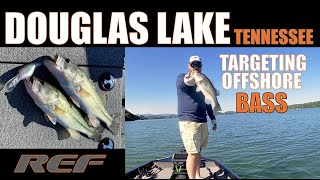 DOUGLAS LAKE Beat the HEAT Fishing Deep Largemouth Bass [upl. by Carlina]