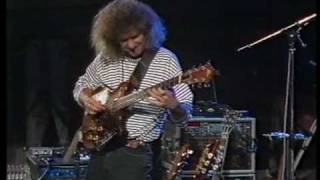 PAT METHENY TRIO [upl. by Dahcir295]