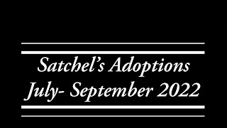 Satchel’s Adoptions Part 3 2022 [upl. by Eelirem]