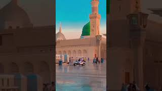 Allah ki rah me qatl hone se kya hota haiislamicshorts facts bestvideo subscribe [upl. by Richela30]