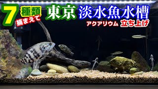 【アクアリウム立ち上げ】東京で熱帯魚みたいな在来魚を捕まえて日本淡水魚水槽を立ち上げる【川ガサガサ→飼育】 [upl. by Antonius]