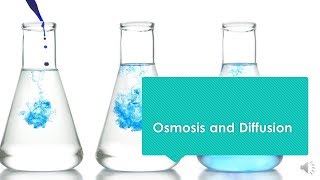 Osmosis and Diffusion [upl. by Atiuqehs952]