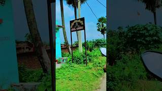 gaon mera mujhe yaad aata raha 🥀 goan village villlagevlog villagelife shourts sad sadsong [upl. by Enelyk]