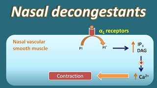 Nasal decongestant  How they act [upl. by Ecirtaeb]