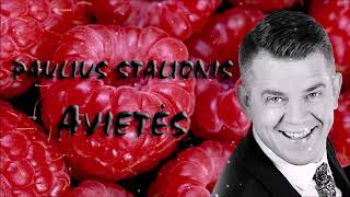 Paulius Stalionis  „Avietėsquot [upl. by Lorelei]