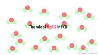 The role of MgCl2 in PCR  simple animated HD [upl. by Helsa]