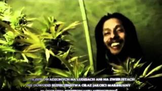 Julian Marley  Boom Draw Polskie Napisyavi [upl. by Yusem]