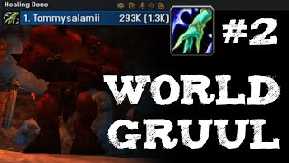 TBC Classic  2 World Parse Resto Shaman Healer Gruul [upl. by Thomsen]