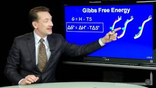 Gibbs Free Energy [upl. by Athalie]