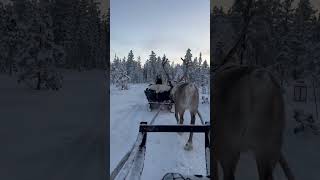 Christmas Lapland Christmas 🎄🎅 christmas lapland finland viralvideo [upl. by Mccallion660]