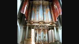 HWalcha Bach Toccata amp Fugue BWV 540 12 [upl. by Nylrats]