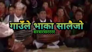 Salaijo new vaka 2081🔥 gaule saiko vaka  nepali oldest vaka salaijo😘 [upl. by Atihana]