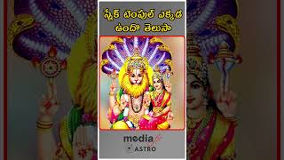 స్నేక్ టెంపుల్ ఎక్కడ ఉందొ తెలుసా astrology astrochakra narsimhaswammy snaketemple [upl. by Lexie]