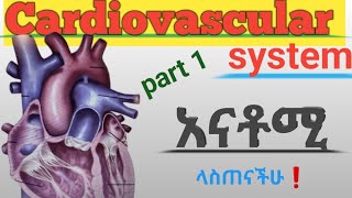 Canada nursing students ppt on cardiovascular system anatomy and physiology Heartcoronary valves [upl. by Areid]