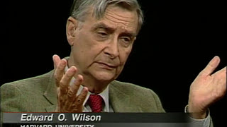 EO Wilson interview 1998 [upl. by Child]