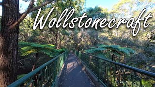 Wollstonecraft walking tour NSW Australia June 2024 [upl. by Nauht]