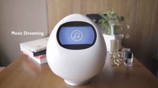 Tapia a talk robot companion on Indiegogo now [upl. by Eilrahc150]