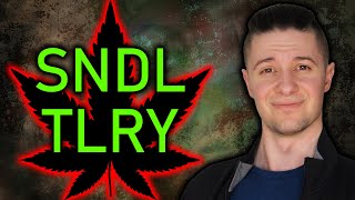 SNDLTLRY  CANNABIS STOCKS PRIMED TO EXPLODE [upl. by Eisenstark886]