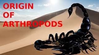 Origin of Arthropods [upl. by Leonie]