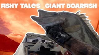 FISHY TALES Ep 2  GIANT BOARFISH  NZ Spearfishing [upl. by Massimo124]