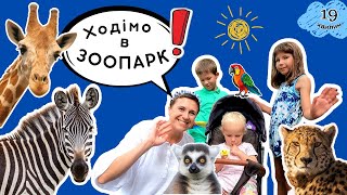 🦁 Ходімо в зоопарк 🦝 відео українською для дітей 🐯 [upl. by Belmonte]