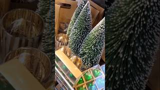 Hornbach Kerst Mini Shoplog 2024🎄 [upl. by Jahdol]