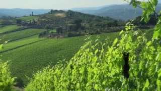 Chianti [upl. by Attlee]