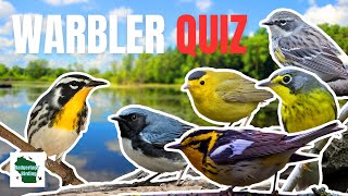 The Ultimate Eastern Warbler Song Quiz Can you Get all 37 Correct [upl. by Annaert]