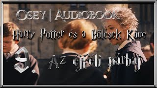 Harry Potter és a Bölcsek Köve hangoskönyv  9 fejezet [upl. by Llenrod]