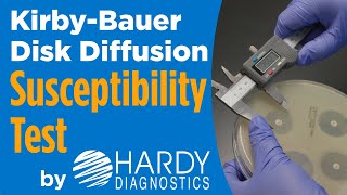 How to do a KirbyBauer Disk Diffusion Antimicrobial Susceptibility Test [upl. by Gianni]