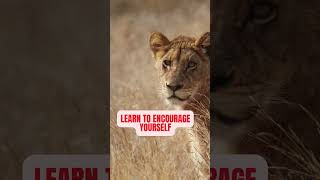 learn to encourage yourself  Power rule  shorts motivation faceyourfears [upl. by Karleen]