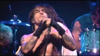 Red Hot Chili Peppers  Californication  Live at Olympia Paris [upl. by Assela120]