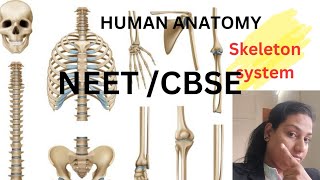 HUMAN ANATOMY science humanbody biology cbse anatomy neet [upl. by Naamann360]