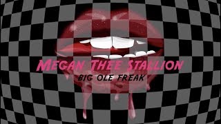 Megan Thee Stallion  Big Ole Freak Official Lyric Video [upl. by Richelle261]