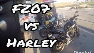 Yamaha FZ07 vs Harley Davidson Sportster [upl. by Yddub492]