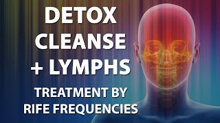 Detox Cleanse Lymphs Lymphatic System  RIFE Frequencies Treatment  Quantum Medicine Bioresonance [upl. by Wohlen]