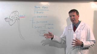 Treatments for Kidney Tumors  Kenneth Nepple MD [upl. by Andriana]