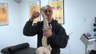 Medical Explanation of Forward Head Posture causing Neck Pain Pinched Nerve  Dr Mandell [upl. by Bellis]