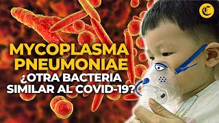 MYCOPLASMA PNEUMONIAE la BACTERIA que generó el BROTE DE NEUMONÍA EN NIÑOS de China  El Comercio [upl. by Bartle995]