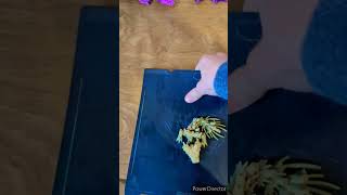 Mini Bamboo dragon 3d print asmr cool3dprints 3dprinting 3dprinted [upl. by Bethanne]