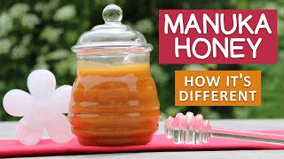 Manuka Honey Benefits  The Superfood from New Zealand [upl. by Kendrick]