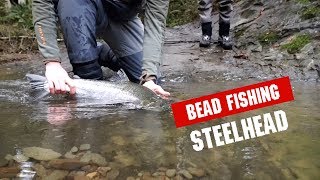 BEAD FISHING for STEELHEAD on a SMALL COASTAL RIVER [upl. by Lynelle]