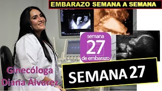 SEMANA 27 EMBARAZO SEMANA A SEMANA POR GINECOLOGA DIANA ALVAREZ [upl. by Hcire]