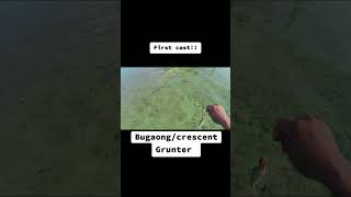 Crescent Grunter🎣capung702 fishing reels shorts shortvideo fishingvideo survival adventure [upl. by Ayouqat]