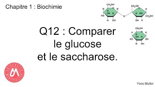 Chapitre 1  Biochimie  Q12  Comparer le glucose et le saccharose [upl. by Laurence]