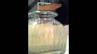 Home made Cold Fusion Reaction 3 DIY [upl. by Barvick235]