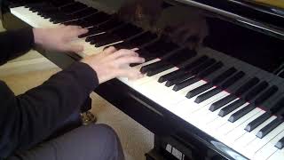 Tansman Toccata Diversions no10 for piano [upl. by Judson]